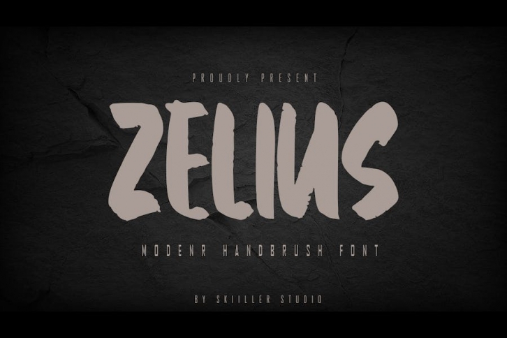 Zelius - Modern Handbrush Font Font Download
