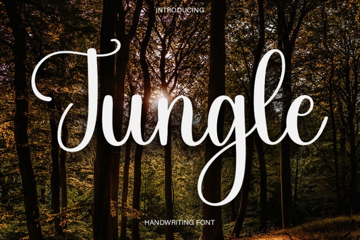 Jungle Font Download