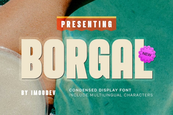 Borgal - Modern Minimal Font Font Download