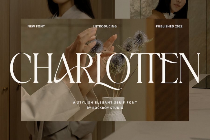 Charlotten - Elegant & Stylish Serif Font Download