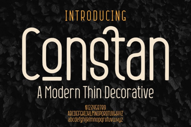 Constan Font Font Download