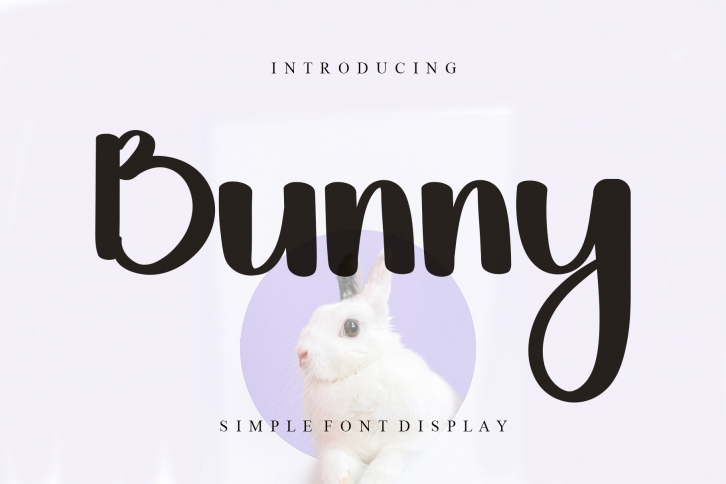 Bunny Font Download