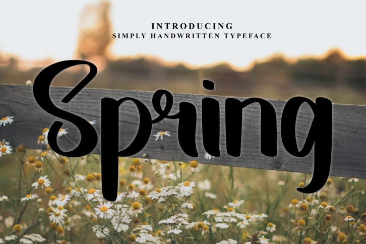 Spring Font Download