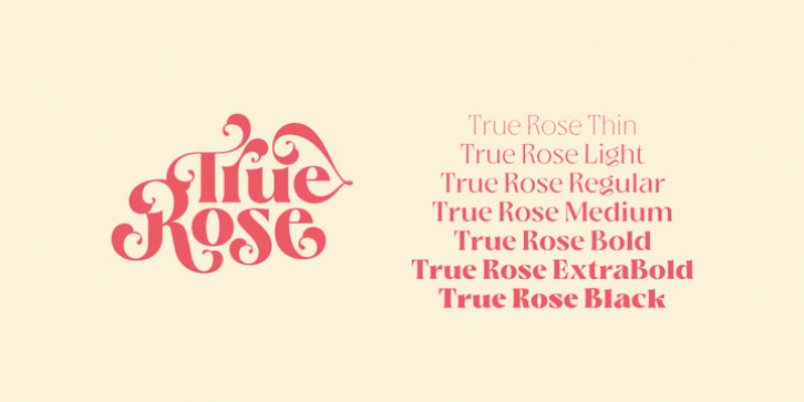 True Rose Font Download