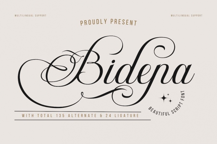 Bidena | Script Font Font Download