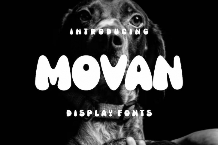 Movan Font Font Download