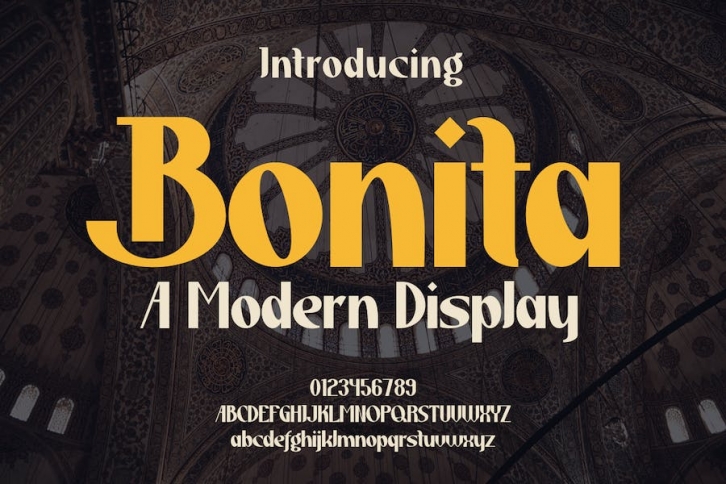 Bonita - A Modern Display Font Download