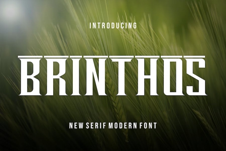 Brinthos Fonts Font Download