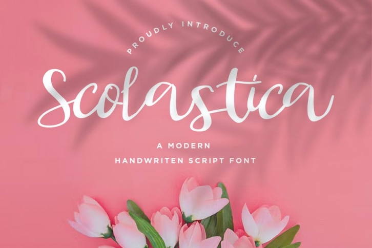 Scolastica - Handwriten Script fonts Font Download