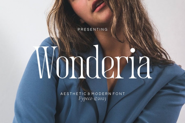 Wonderia - Aesthetic Font Font Download