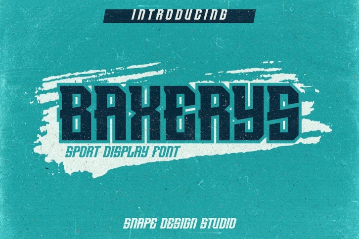 Baxerys - Sport Font Font Download