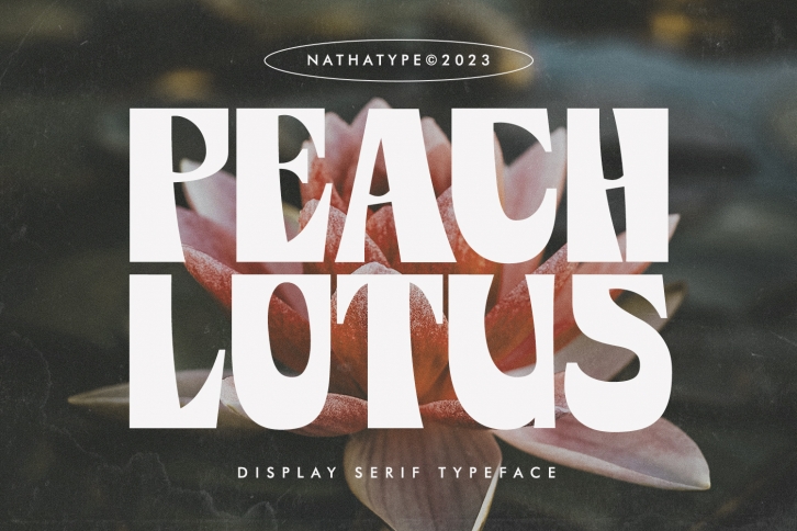Peach Lotus Font Download