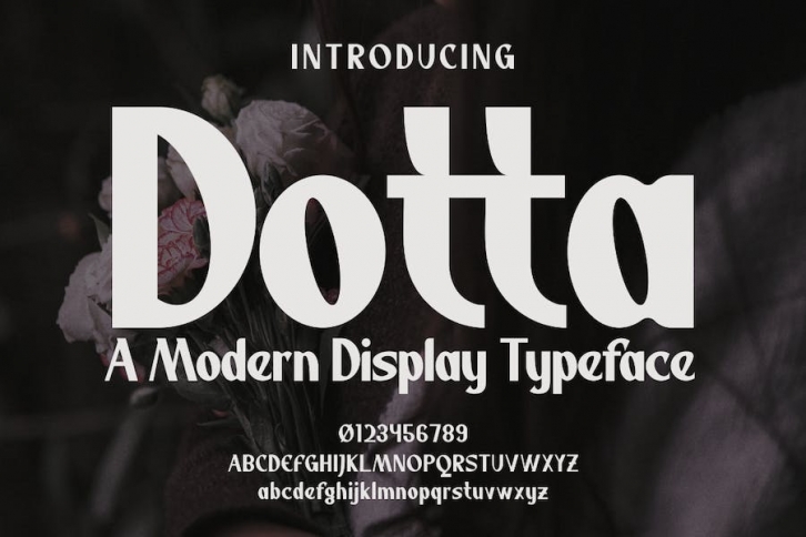 Dotta Font Font Download