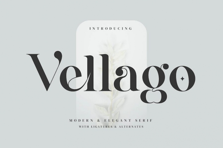 Vellago - Stylish Ligature Font Font Download