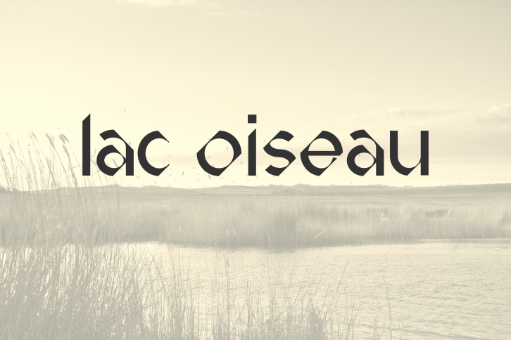 Lac Oiseau DEMO Font Download