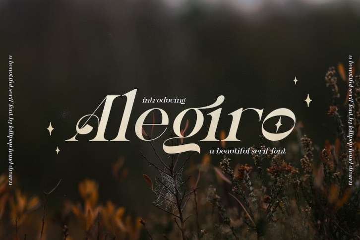 Alegiro Script Font Font Download