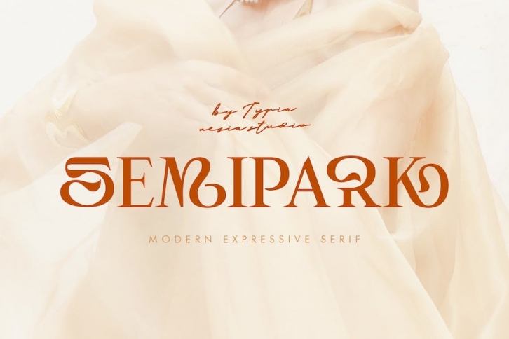 Semipark - Creative and Unique Serif / Logo Font Font Download