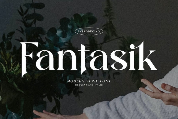 Fantasik Modern Serif Font Font Download