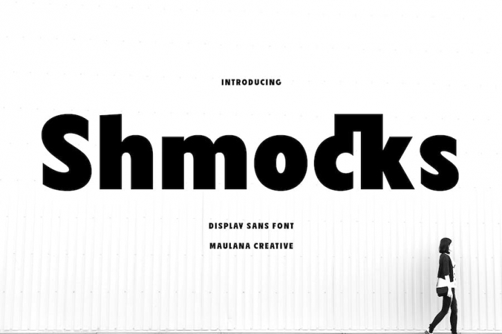 Shmocks Retro Sans Display Font Font Download