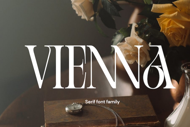 Cd Vienna Serif Font Family Font Download