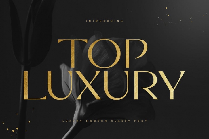 Top Luxury - Luxury Modern Classy Font Font Download