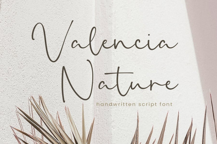Valencia Nature Font Font Download