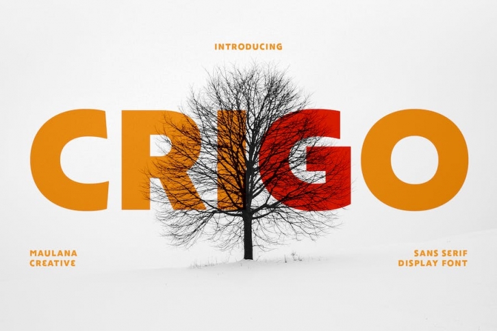 Crigo Display Font Font Download