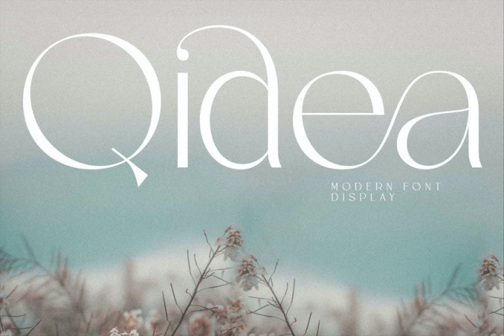 Qidea Font Download