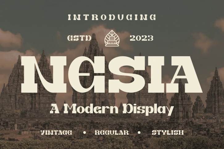 NESIA - A Modern Display Font Font Download