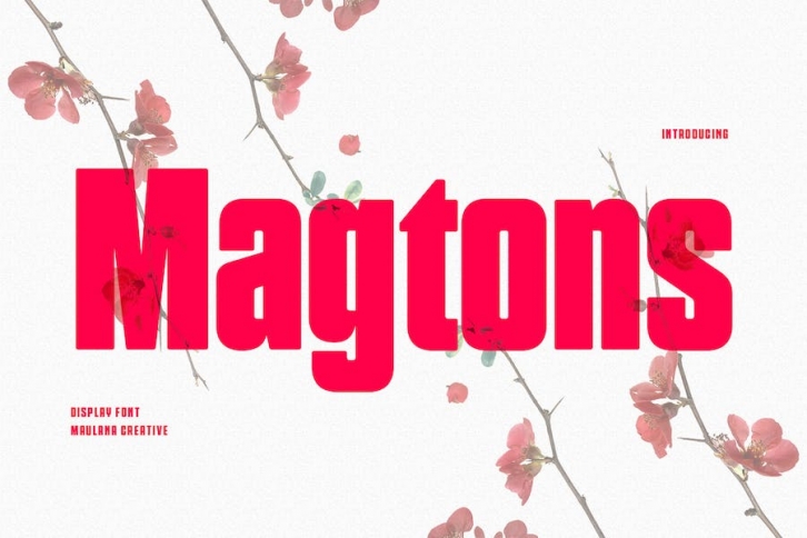 Magtons Display Font Font Download