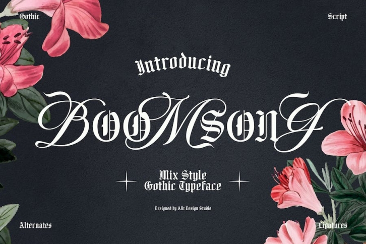 Boomsong Typeface Font Download