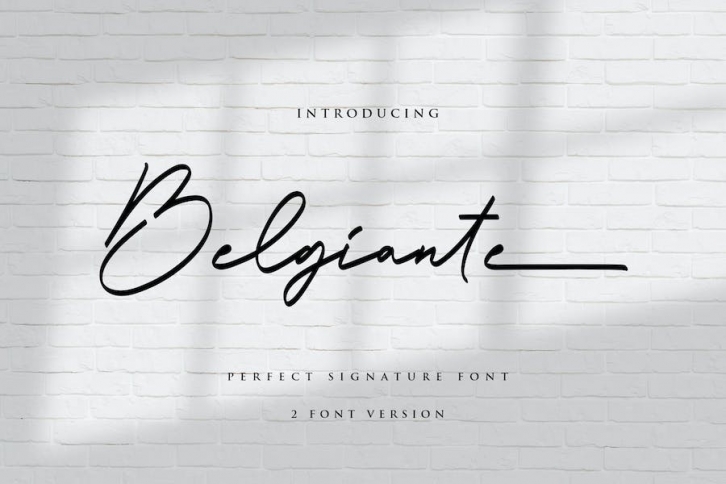 Belgiante Handwritten Font Font Download