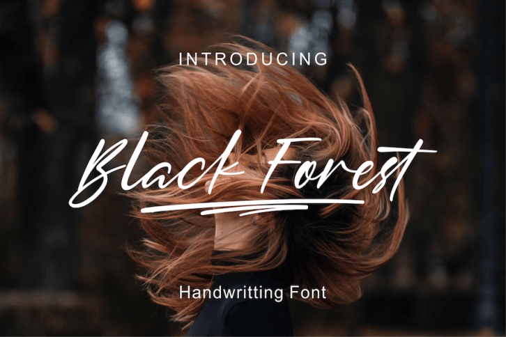 Black Forest Font Download