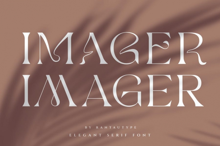 Imager Elegant Unique Serif Font Font Download