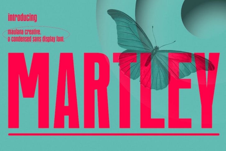 Martley Condensed Sans Display Font Font Download