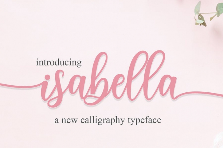 Isabella script Font Font Download