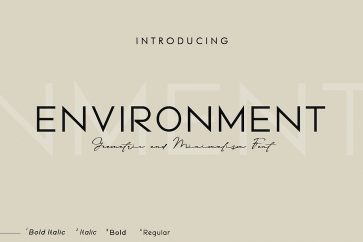 Environment Font Download