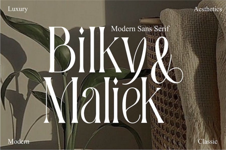 Bilky Maliek Font Download