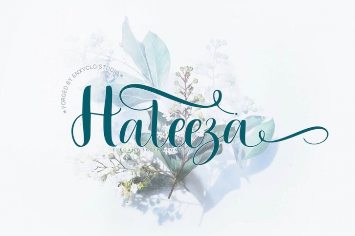 HALEEZA - Elegant Script Font Font Download