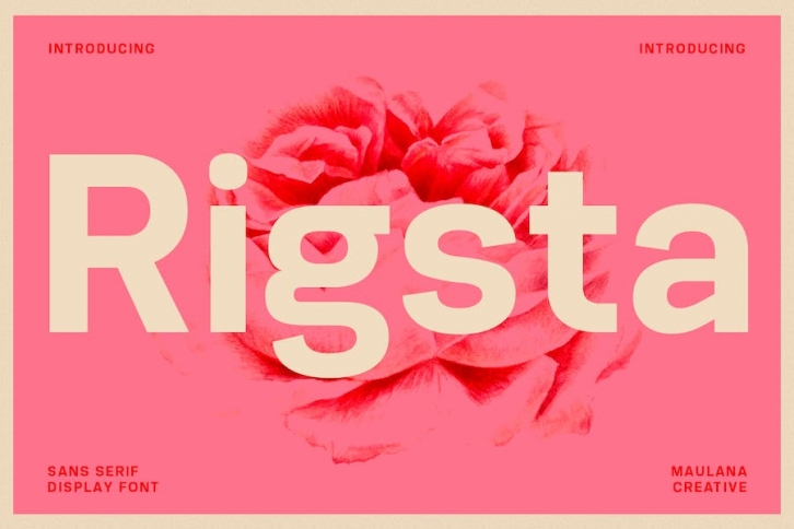 Rigsta Sans Serif Display Font Font Download