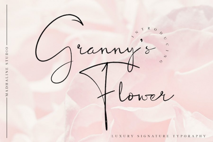 Granny's Flower a Luxury Signature Font Download