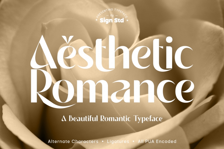 Aesthetic Romance Font Download