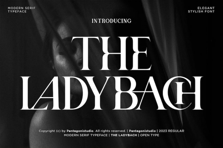 The Ladybach | Elegant Serif Font Download