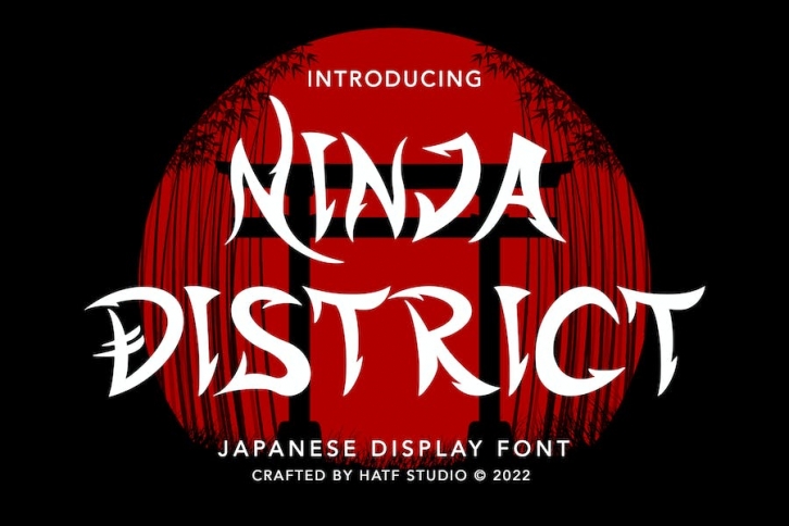 Ninja District Font Download