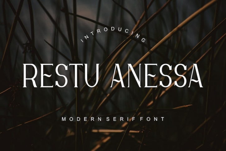 Restu Anessa Fonts Font Download