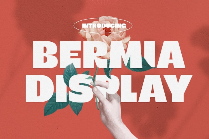 Bermia Display Fonts Font Download