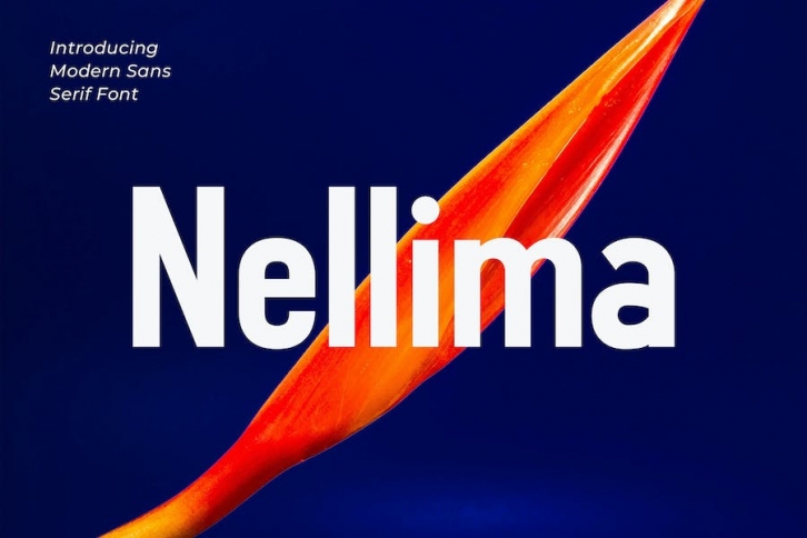 Nellima - Modern Sans Serif Font Font Download