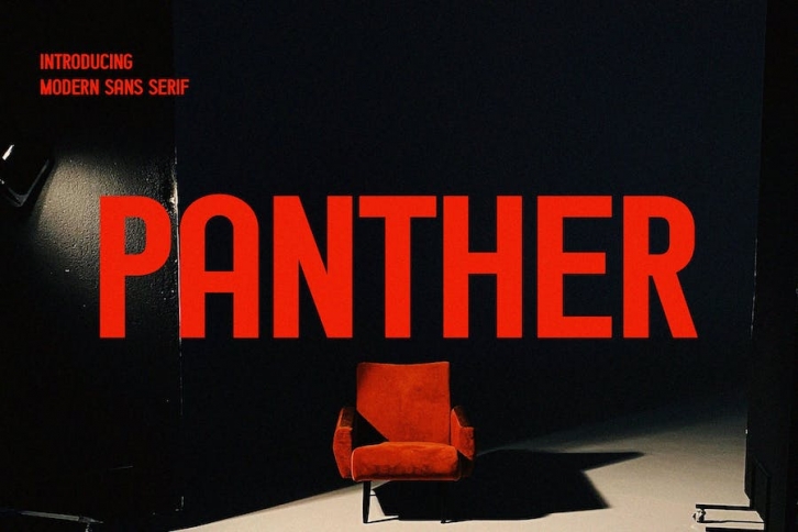 Panther - Modern Sans Serif Font Font Download