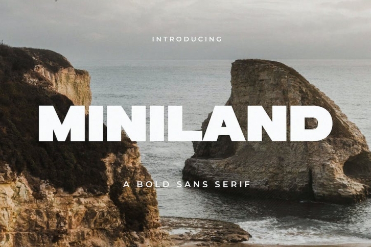 Miniland - A Bold Sans Serif Font Download