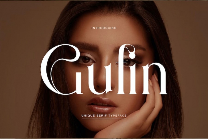 Gufin Serif Typeface FONT Download